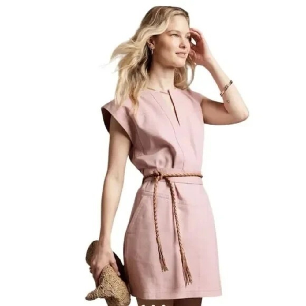 Banana Republic Pink Mini Dress